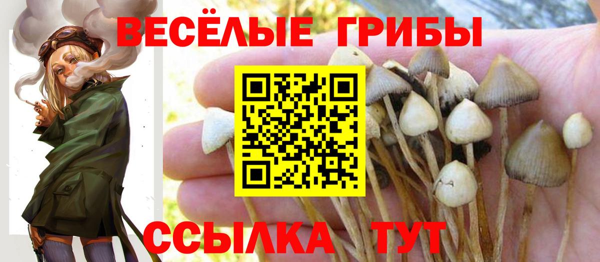 Галлюциногенные грибы мухоморы Изобильный