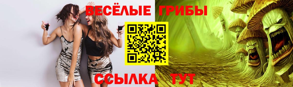 Изобильный  Псилоцибиновые грибы Cubensis  Галлюциногенные грибы Psilocybine cubensis  Вход с VPN 